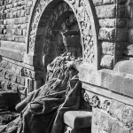 Guest blogging at the IASGP: The state of the AfD 3
