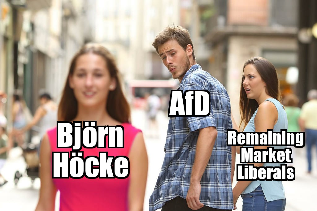 Hardliner Björn Höcke will not be expelled from the AfD 4