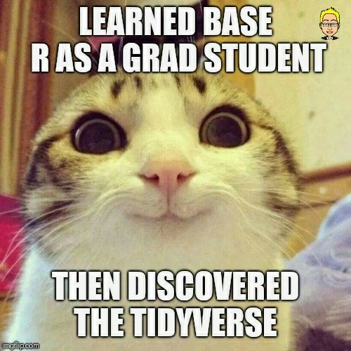 How the tidyverse changed my view of #rstats - kai arzheimer